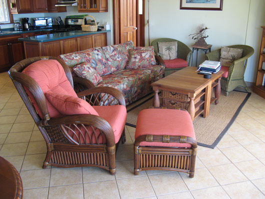 Living room / Great room at Caneel Trailside